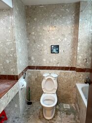 Estella Gardens (D17), Condominium #487276311